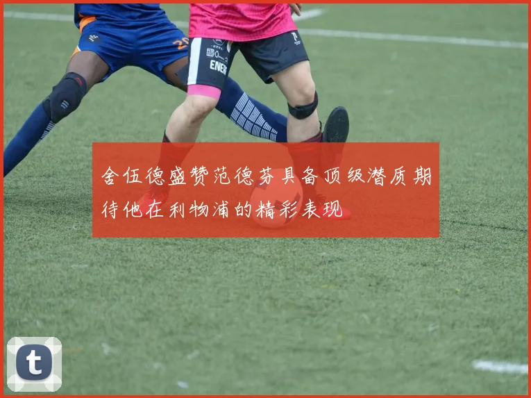 舍伍德盛赞范德芬具备顶级潜质期待他在利物浦的精彩表现